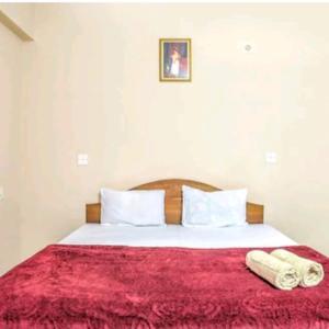 ASHWIN LUXURY Home