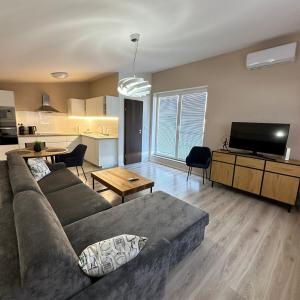 Samorin Loft with large terrace