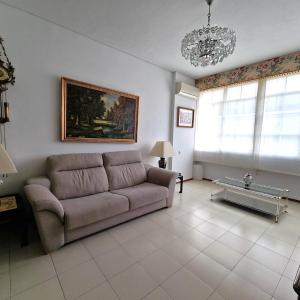 Bright ideal apartment, historic center Martin Villa