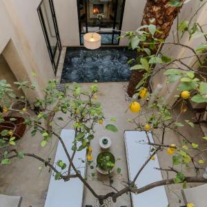 Riad KO Nova