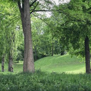 Ferienwohnung am Bienertpark