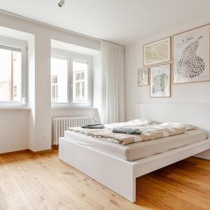 Bratislava flat in historic center with air conditioner