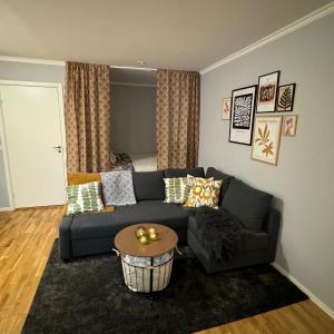 Studio centrally located in Södermalm