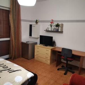 Ampia camera in appartamento condiviso