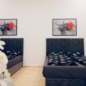 Lovely 2BR Apt With Modern Amenities Near Augarten