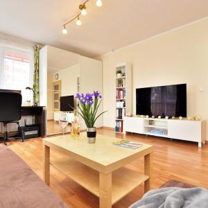 Comfortable apartment near center