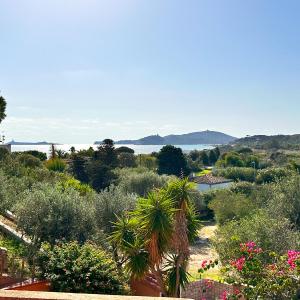 Patio on the Simius beach