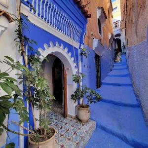 dar solaiman