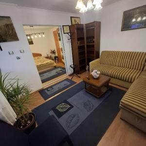 Casa 15