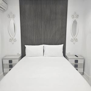 Nueva PENSION CIBELES