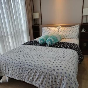 Menteng Park Apartment 2 Rooms Private Lift