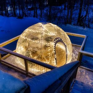 The Moondance Cabin by Lightfoot Stays Vacation Rentals