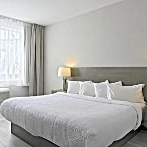 Repotel Levis