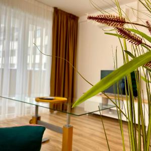 Carpatilor Urban Escape Studio: Free Parking & AC