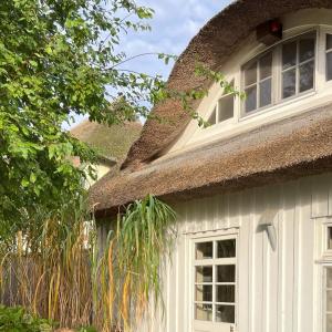 Boddenhaus