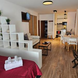 Amplio y hermoso departamento en Buenos Aires