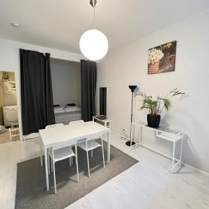 Moderni siisti Studio koti jossa modernit kalusteet