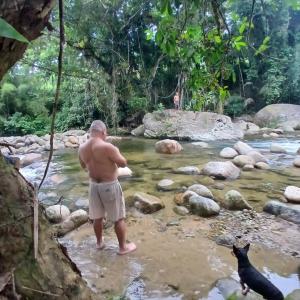 Casa com cachoeira no quintal