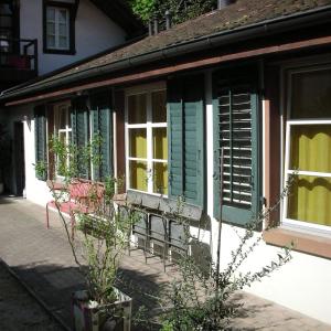 Appartement in down Town Kleinbasel