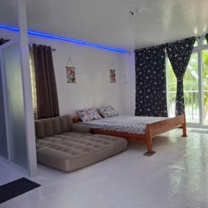 Remy's Eco house