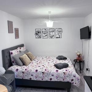 Le Patcho Charmant studio Confortable & Chaleureux , idéalement situé proche centre ville Quartier Neustadt Tribunal, Contades