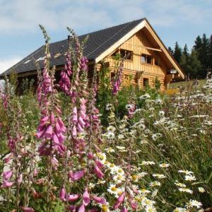 Srub Javorná - apartmány Šumava