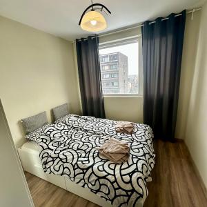 Maria Luiza 1 Bedroom Apartment