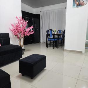 Casa Miami, Nueva San Miguel