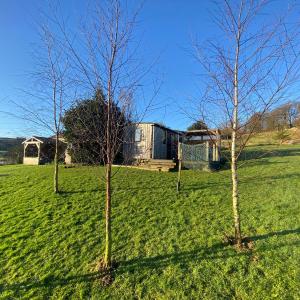 Shepherds hut - hot tub hire - dog friendly