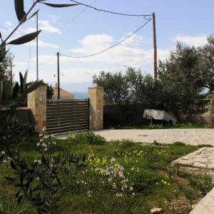 Hillside House