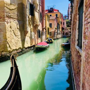 Rialto Apartment