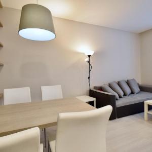 Comfortable apartment in Brno