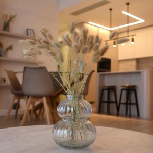 Central Retreat Chic in the Heart of Tirana
