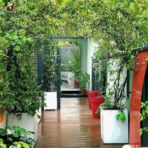 Jasmine Garden