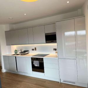 Two-Bedroom Apartment with City View