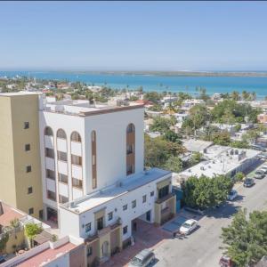 Palmyra La Paz