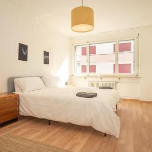 Central Studio Apartment with free BaselCard - Picasso