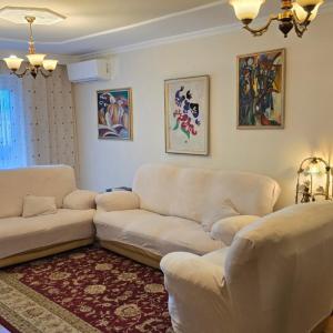City OASIS in the Heart of Tirana
