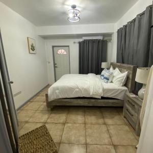 Roseau city hub apt #1