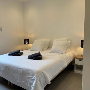 RARE - New apartment in the heart of Cannes