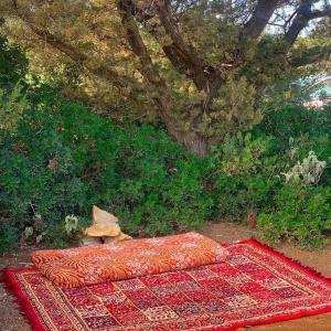 اذرح فارم