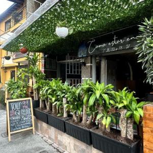 Casa Egos Pop Laureles