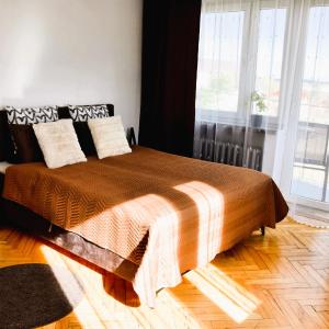 Travel Apartament Cracow