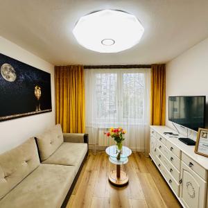 Lion Apartment