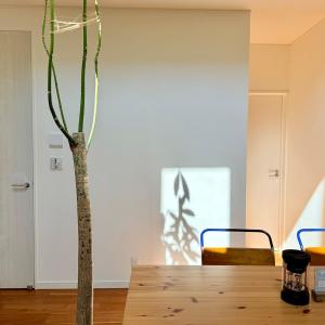 Hidden Retreat in Hadano 6 min Walk to Station Easy Access to Hakone & Shonan