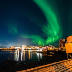 Kræmmervika Rorbuer - Rustic Cabins & Hostel in Lofoten