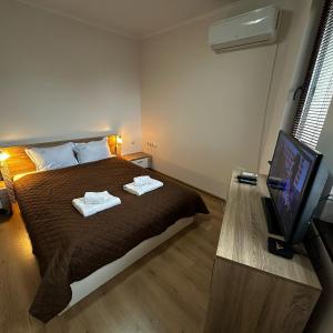Apartment Aria 5