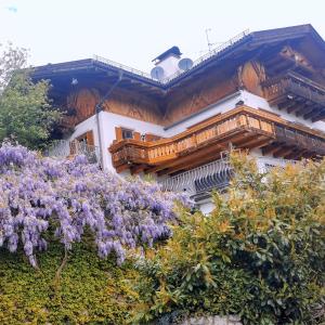 Haus Gläserer apartments