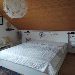 Ferienwohnung Monteurwohnung Pusteblume