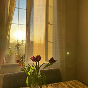 ELAY Apartments